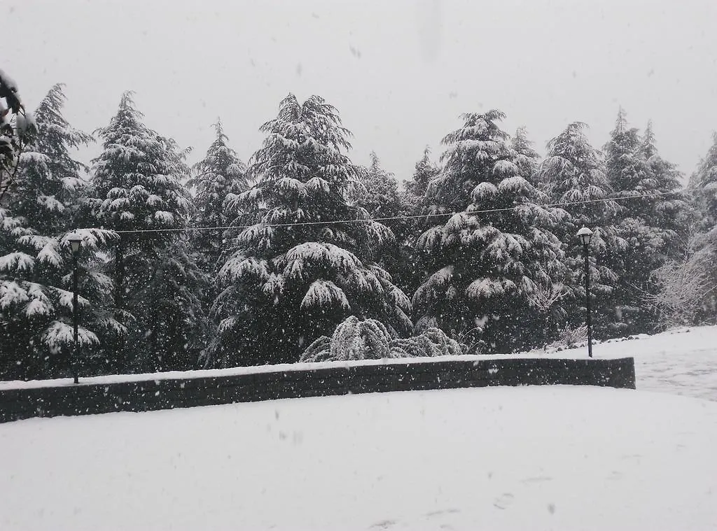 Woodsmoke Retreat Hotel Shimla India